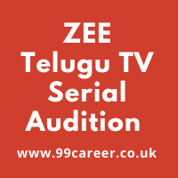 ZEE Telugu TV Serial Audition 2025 